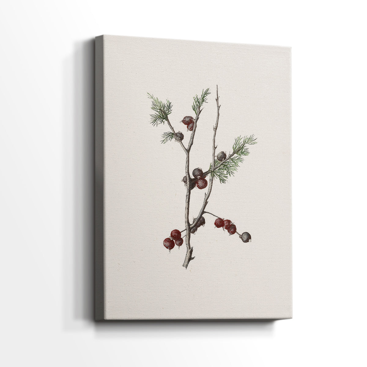 Pearled Night Serenade - Canvas Art Print