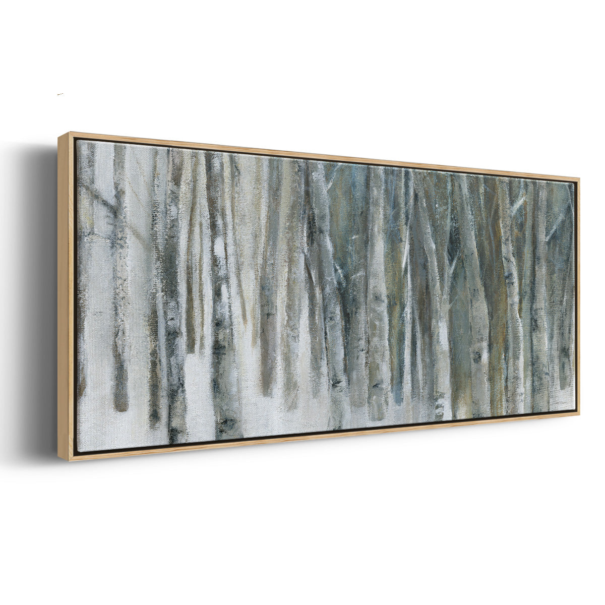 Banff Birch Grove - Floater Framed Canvas Print