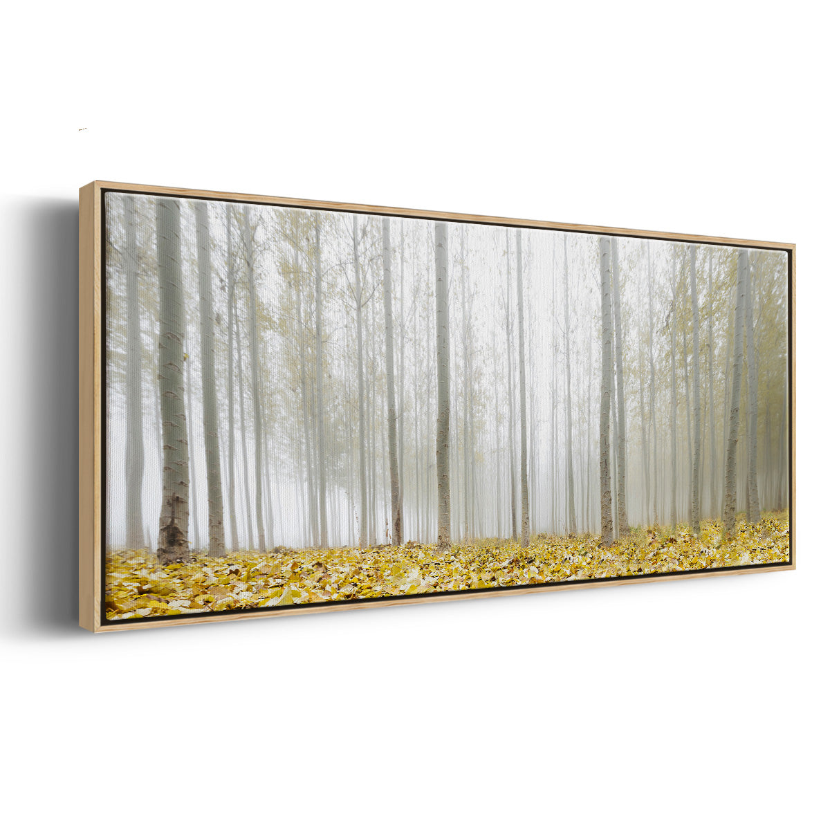 Poplar Grove - Floater Framed Canvas Print