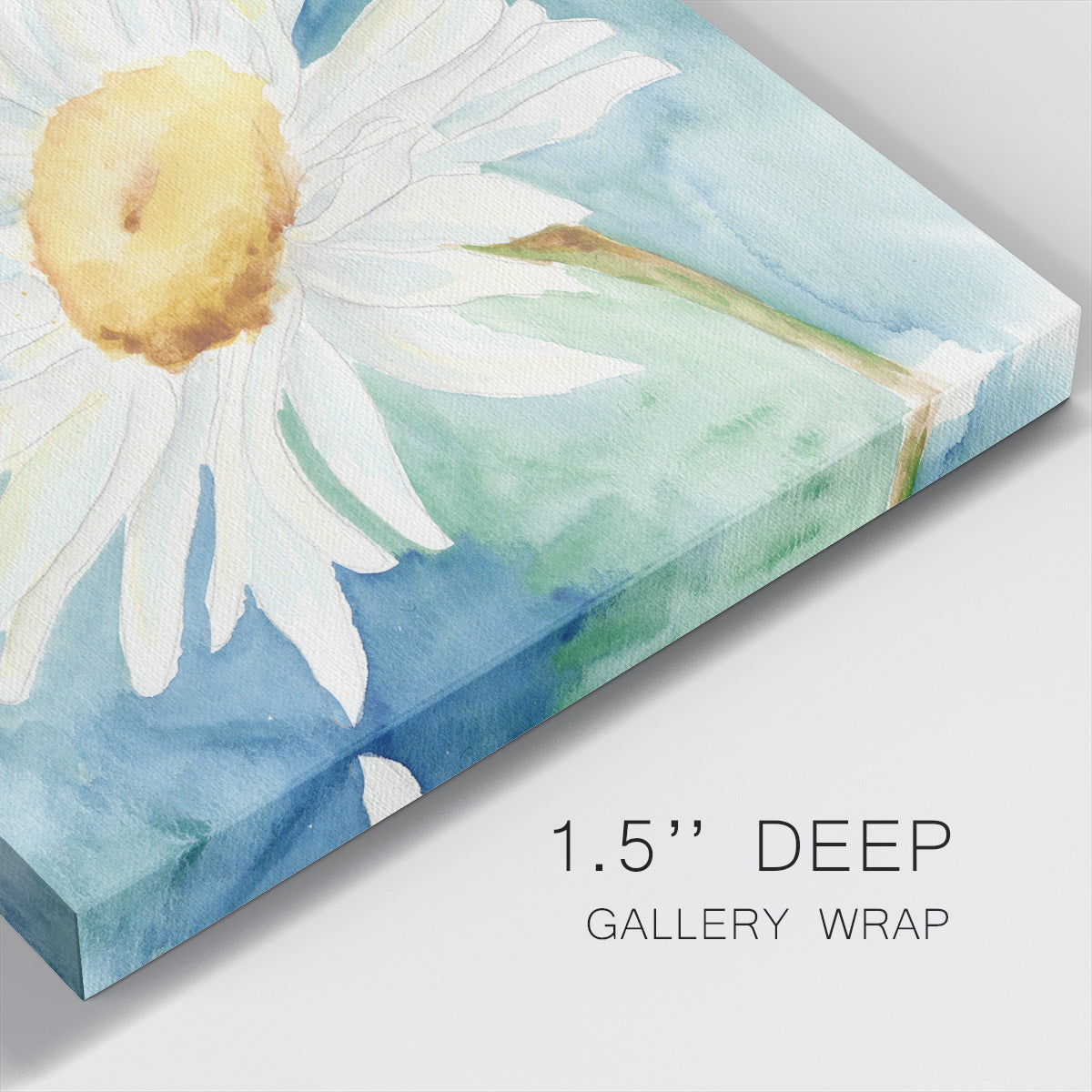 Daisy Sunshine I - Canvas Art Print