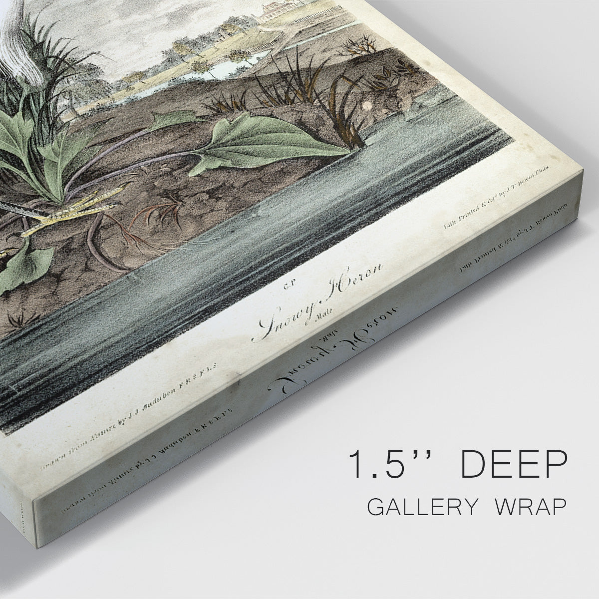 Snowy Heron Premium Gallery Wrapped Canvas - Ready to Hang