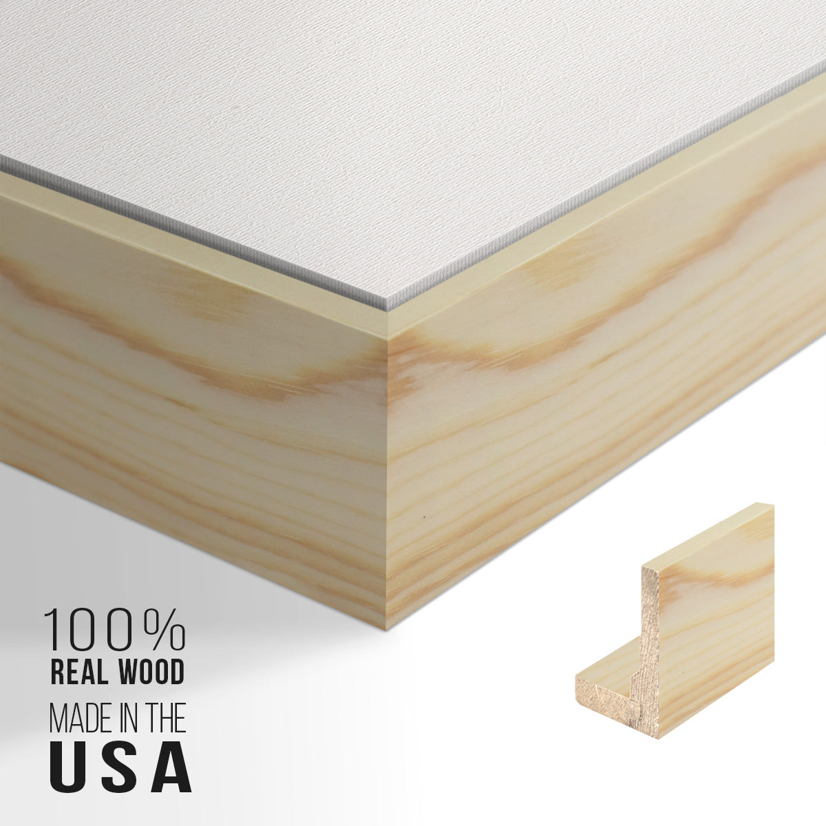 Sea Star -  Framed Canvas Print