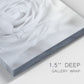 Close-up view of wrapped canvas corner featuring monochrome rose study photograph.