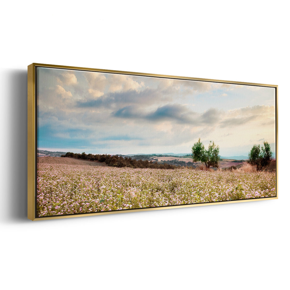 Tuscan Wildflowers - Floater Framed Canvas Print