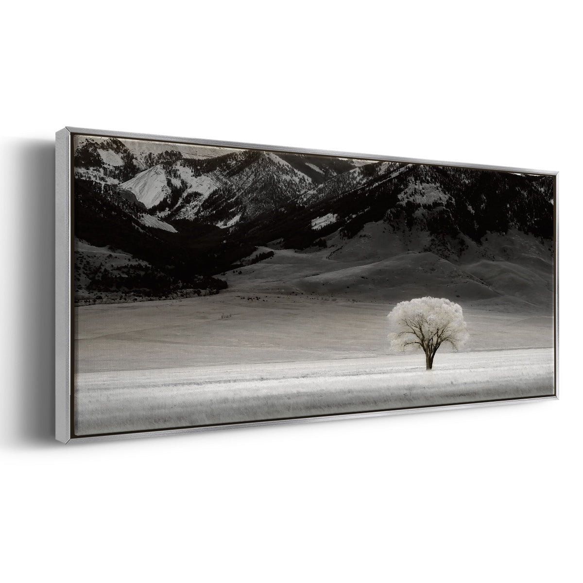 Solitary Tree - Floater Framed Canvas Print
