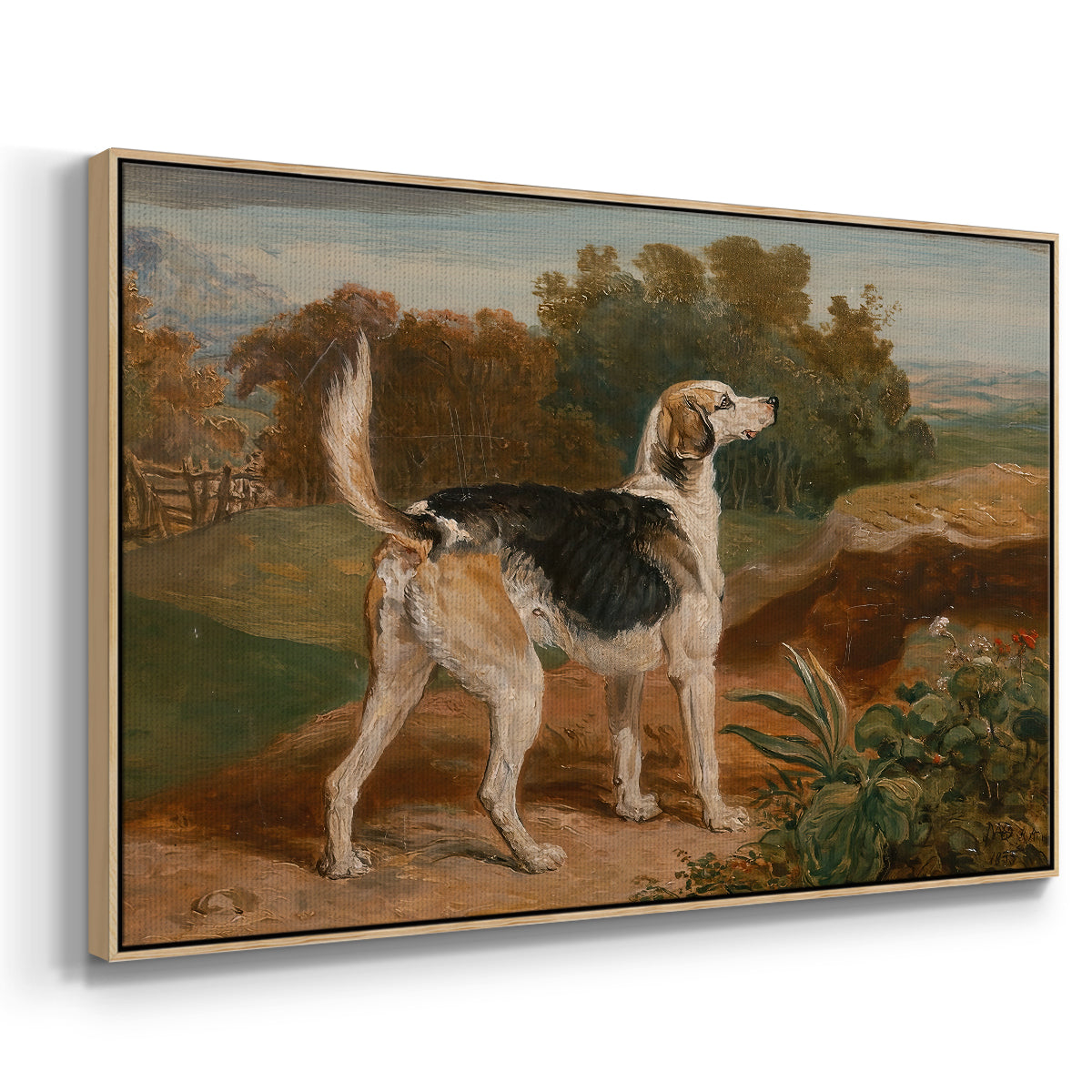 Ravager, One of the Lambton Hounds, 1835 - Floater Framed Canvas Print