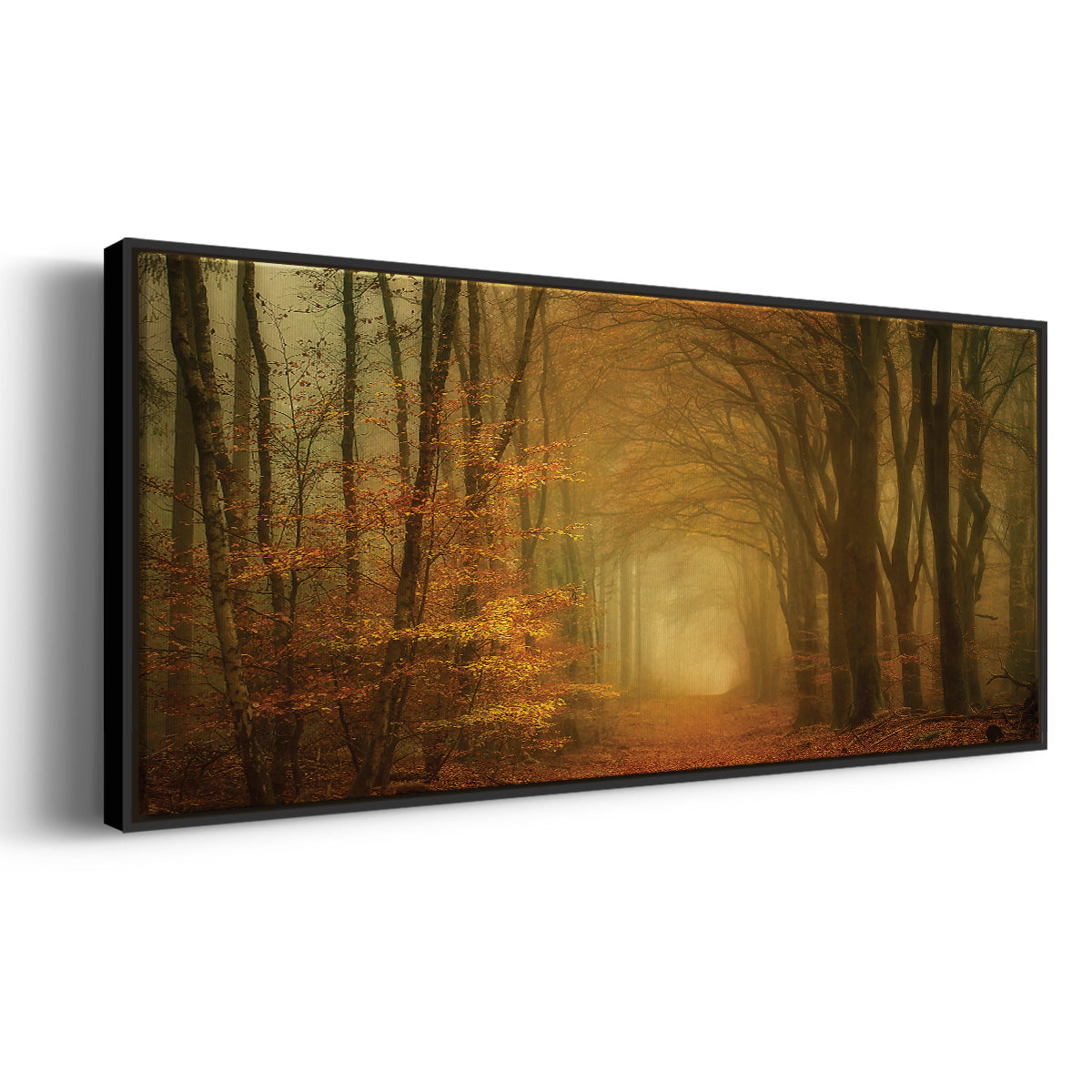 Early Light - Floater Framed Canvas Print