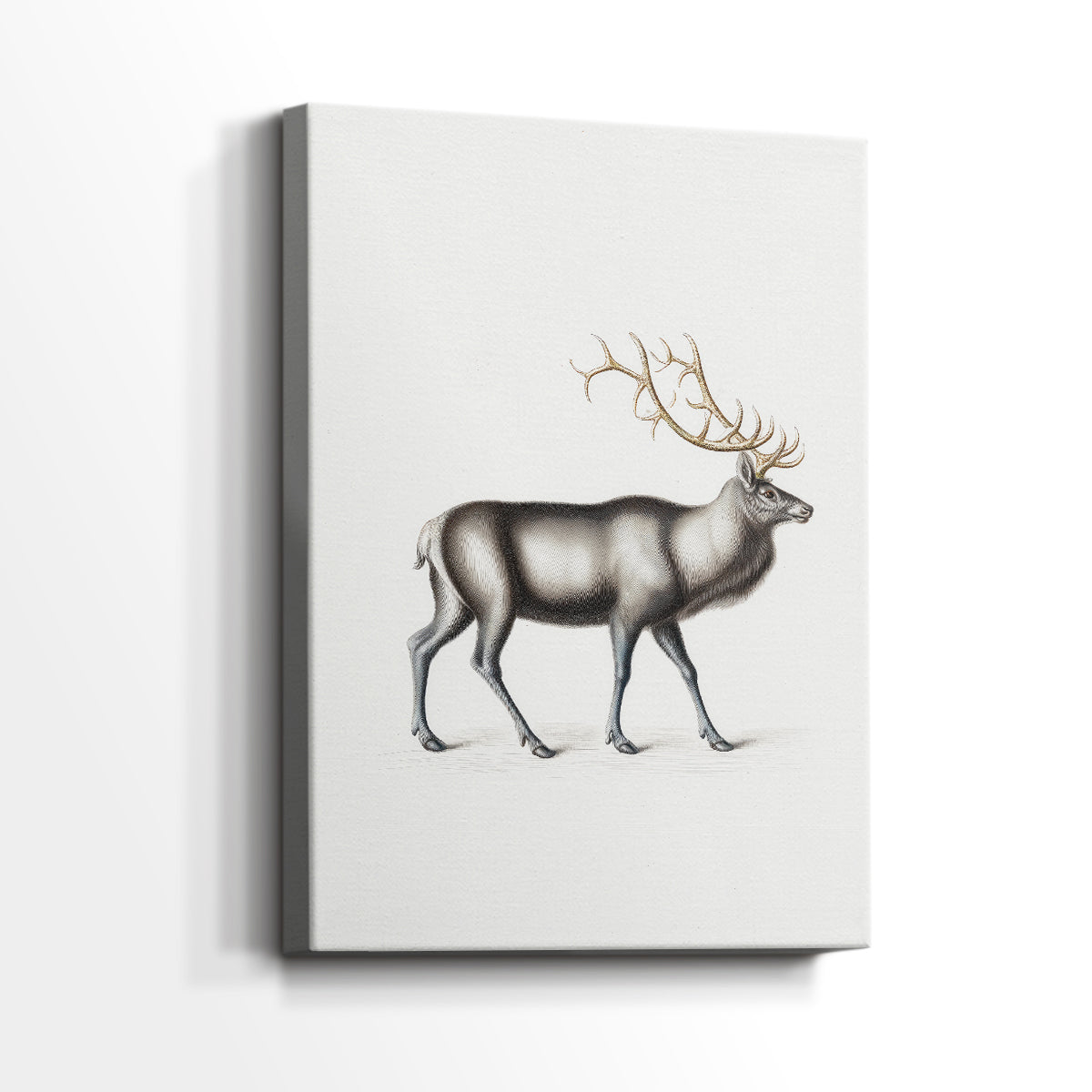 Eve of Silver Village - Canvas Art Print
