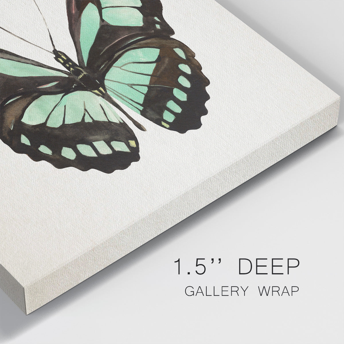 Mint Butterfly II - Canvas Art Print