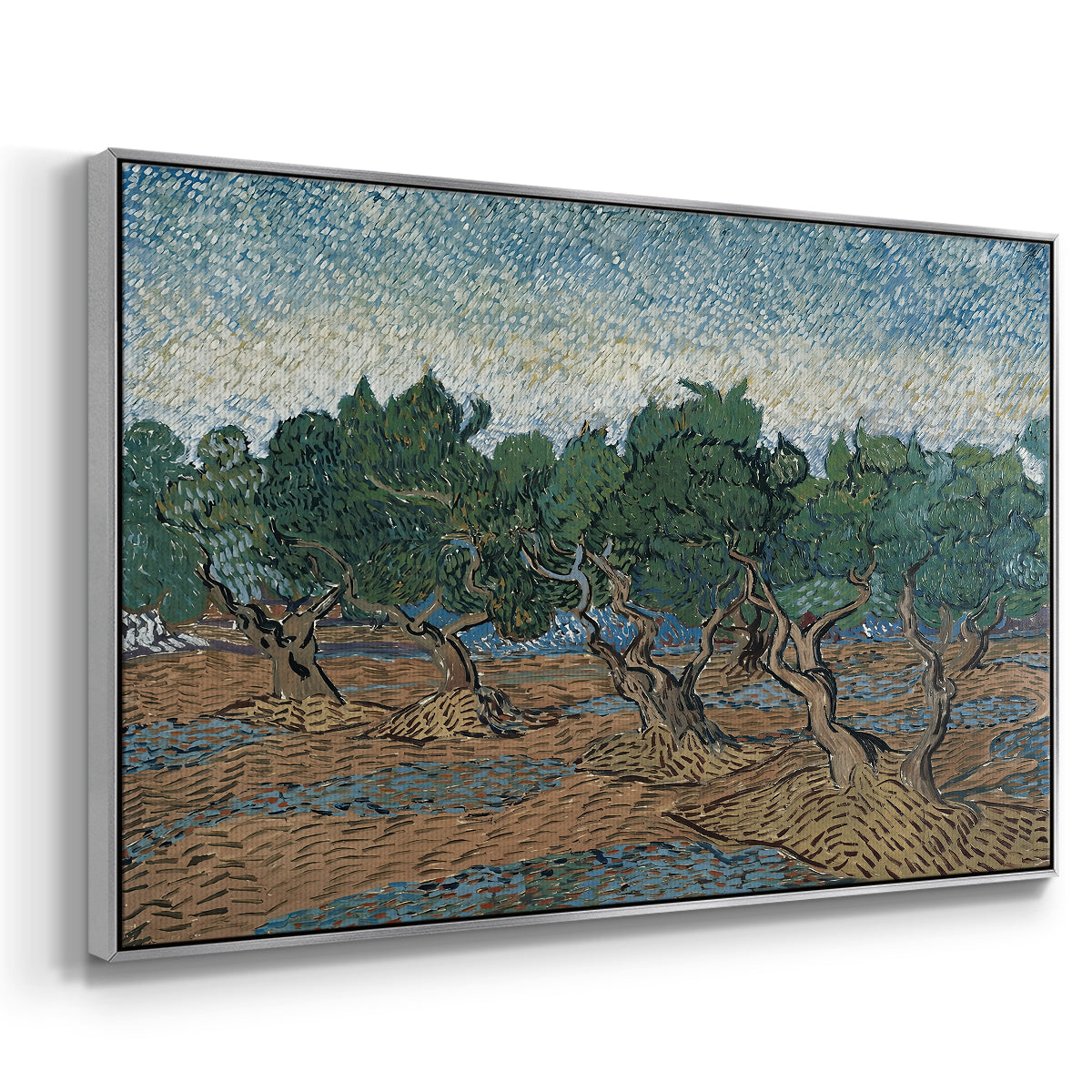 Olive Trees, 1889 - Floater Framed Canvas Print