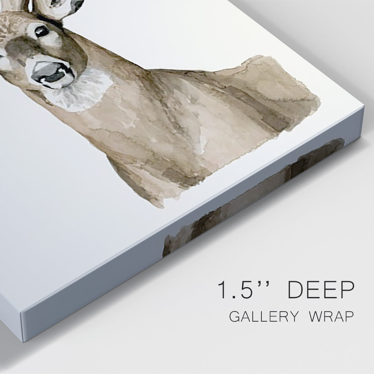 Handsome Whitetail I - Canvas Art Print