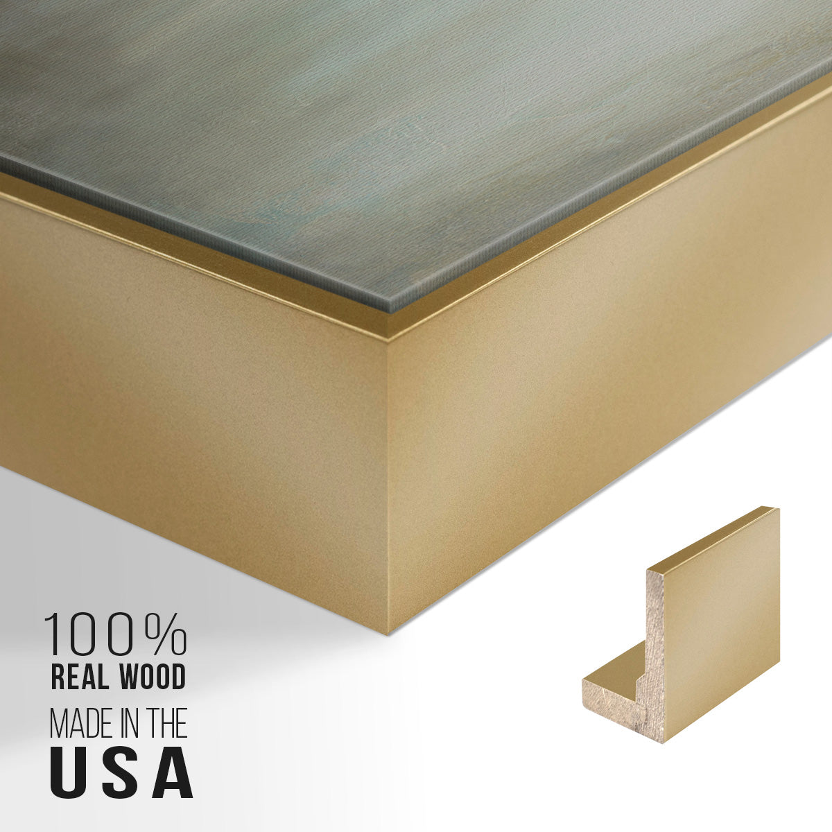 Morning Glory - Floater Framed Canvas Print