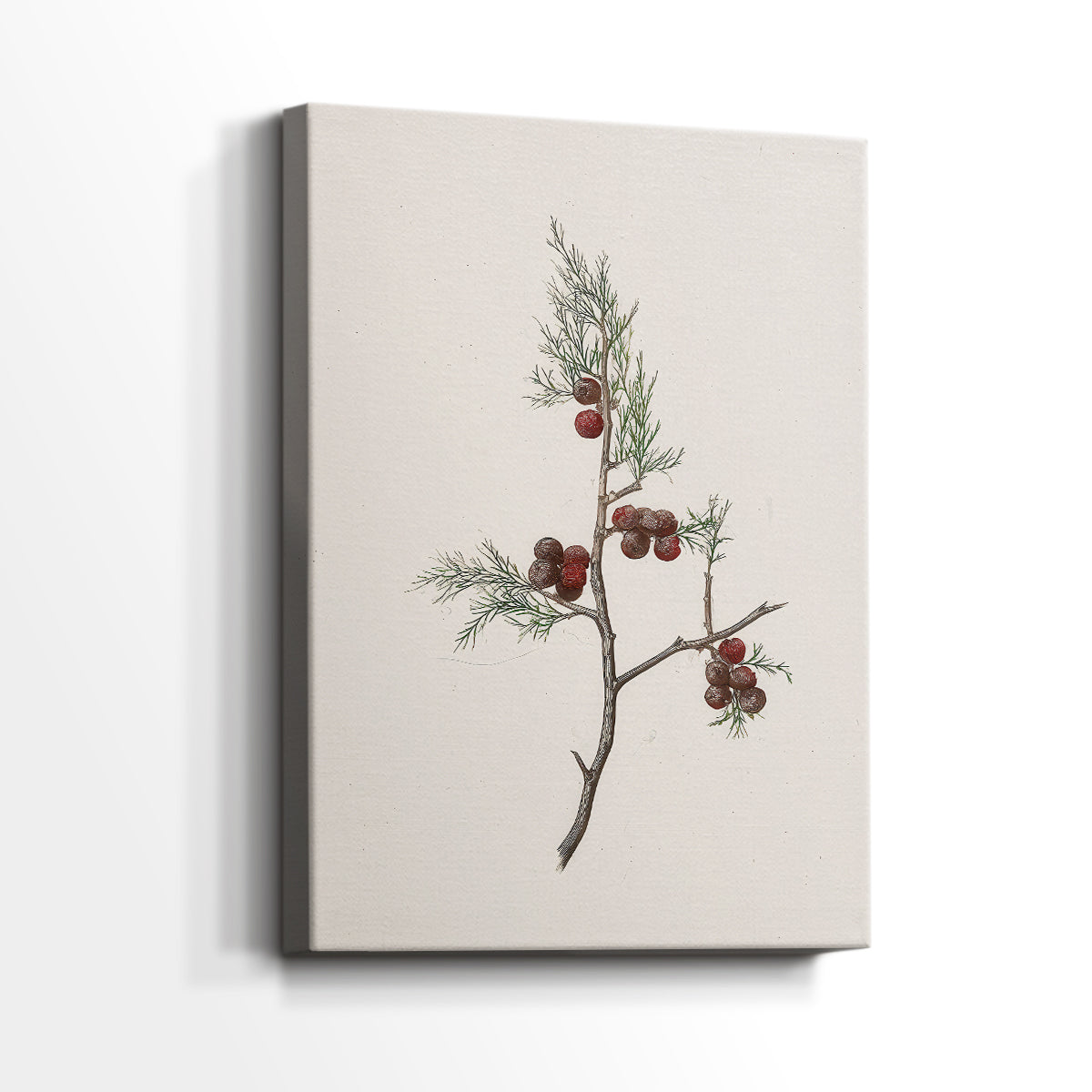 Silver Serenade of Dusk - Canvas Art Print