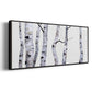 Birch Trees I - Floater Framed Canvas Print