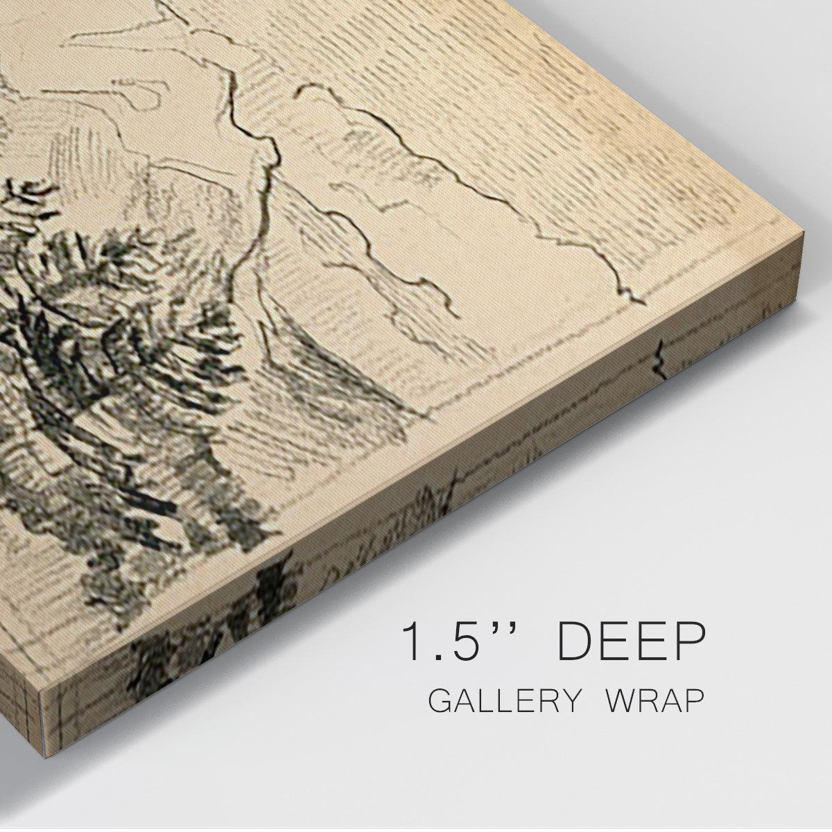 Hatched Horizon II - Canvas Art Print