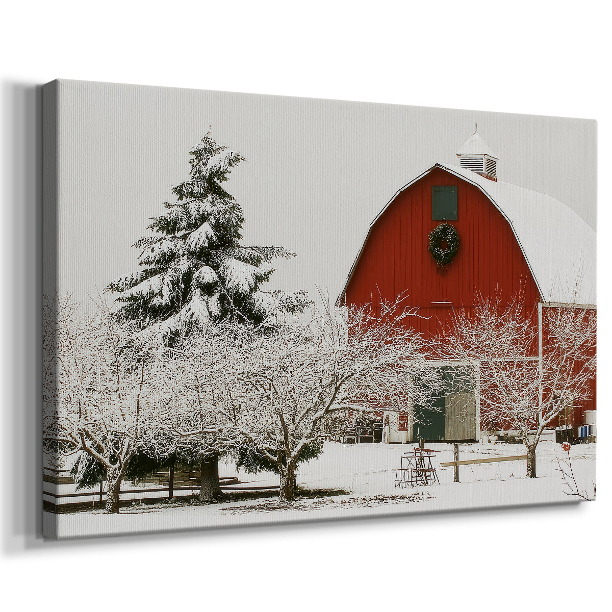 Morning of Sugar Whisper - Canvas Art Print