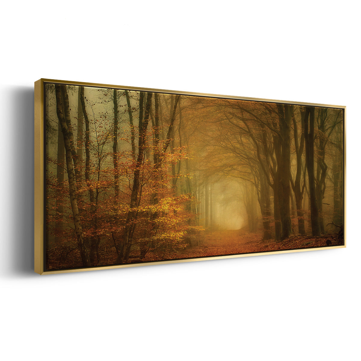 Early Light - Floater Framed Canvas Print