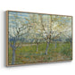 The Pink Orchard, 1888 - Floater Framed Canvas Print
