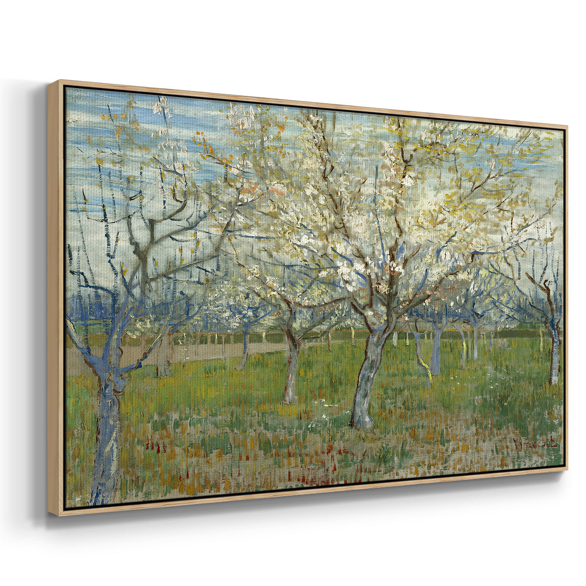 The Pink Orchard, 1888 - Floater Framed Canvas Print