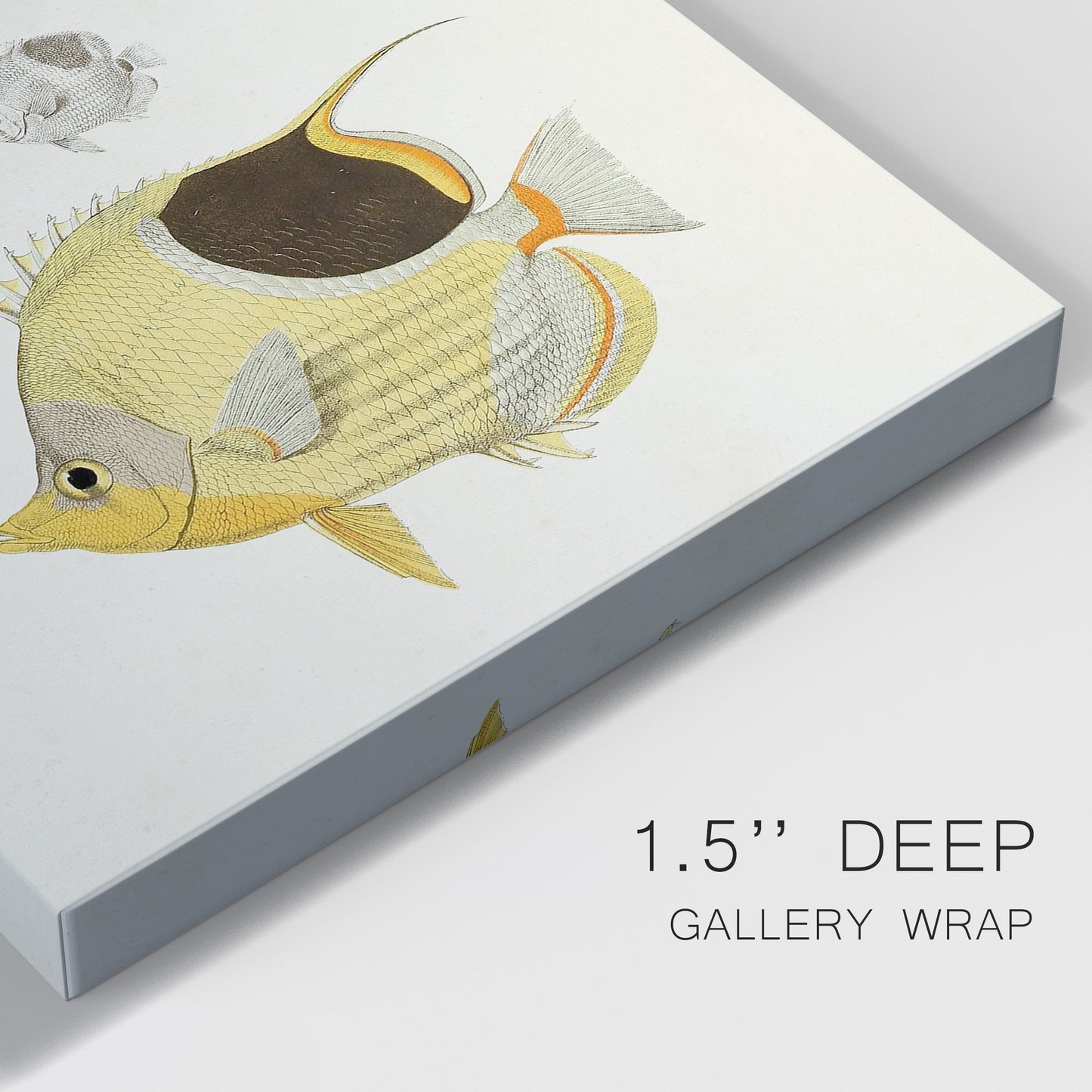 Yellow & Grey Fish II Premium Gallery Wrapped Canvas - Ready to Hang