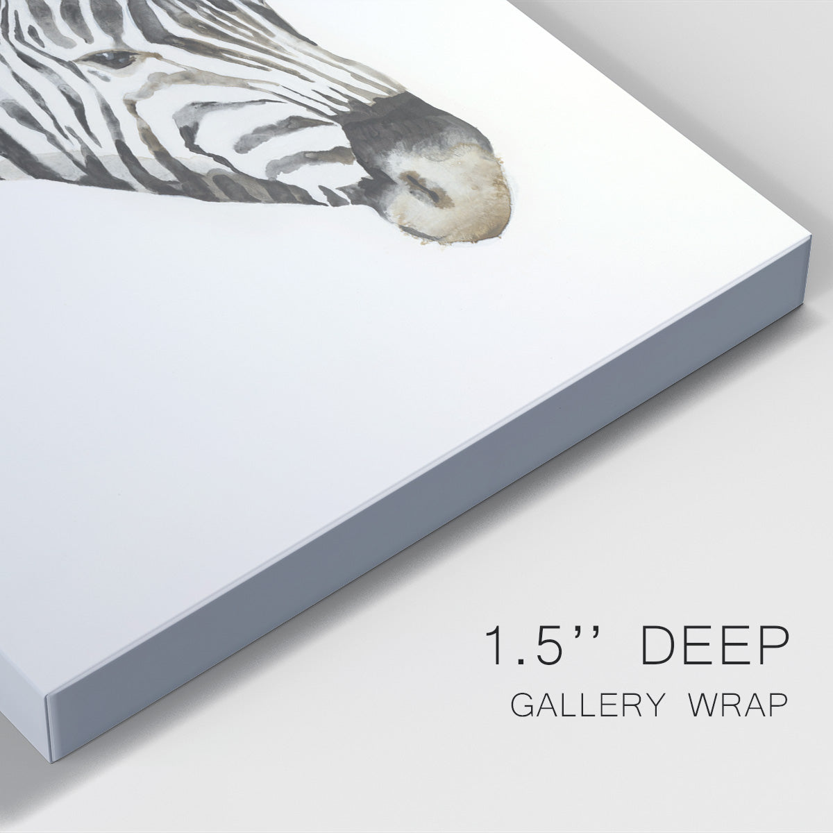 Zebra Stripes - Canvas Art Print