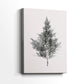 Silver Blessing of Pines - Canvas Art Print