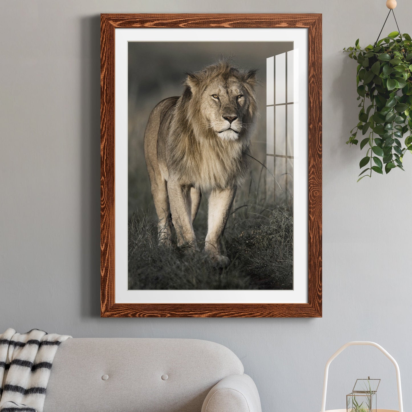 Morning Walk in Masai Mara - Premium Framed Print - Distressed Barnwood Frame - Ready to Hang