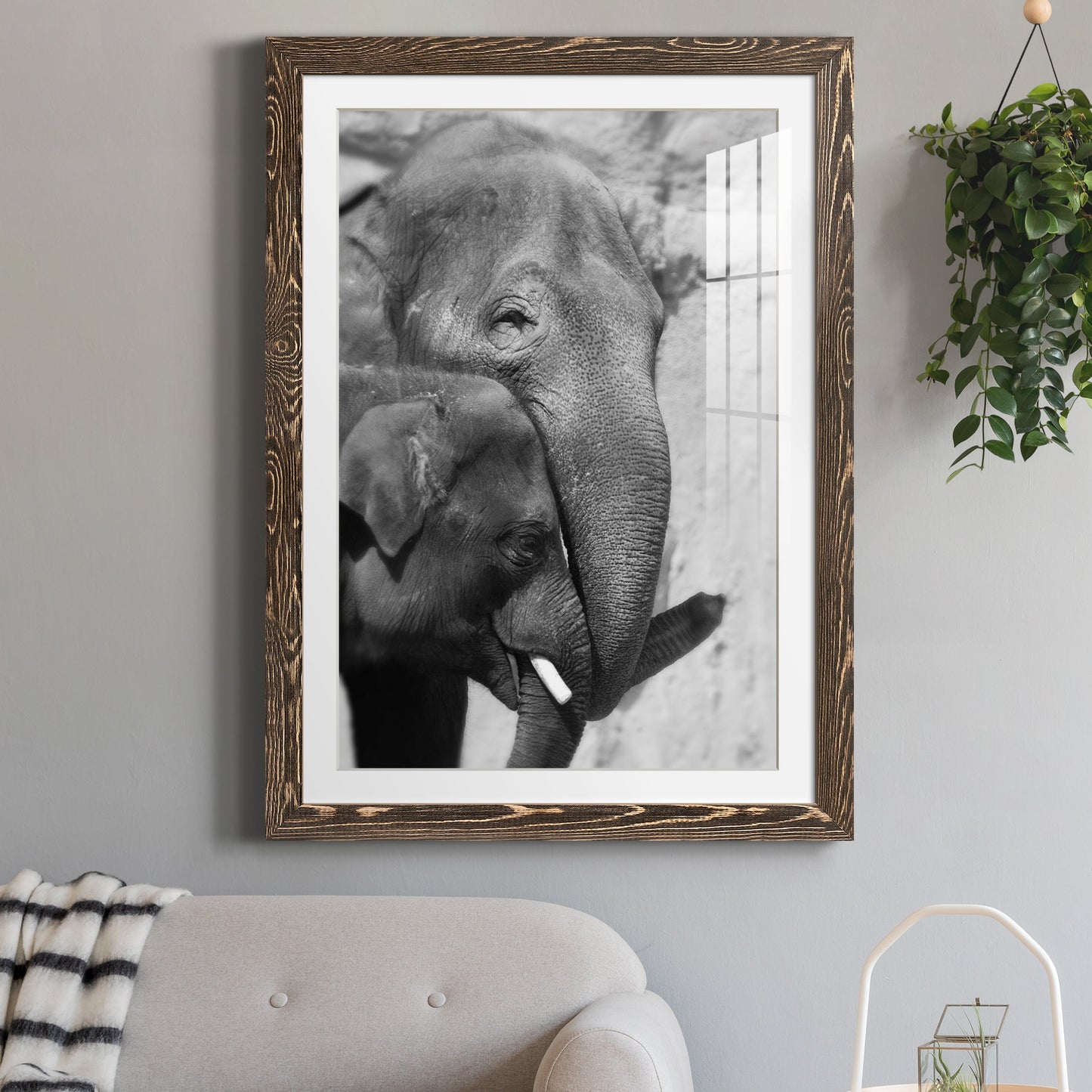 Tender Moment - Premium Framed Print - Distressed Barnwood Frame - Ready to Hang