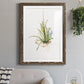 Gardenaire II - Premium Framed Print - Distressed Barnwood Frame - Ready to Hang