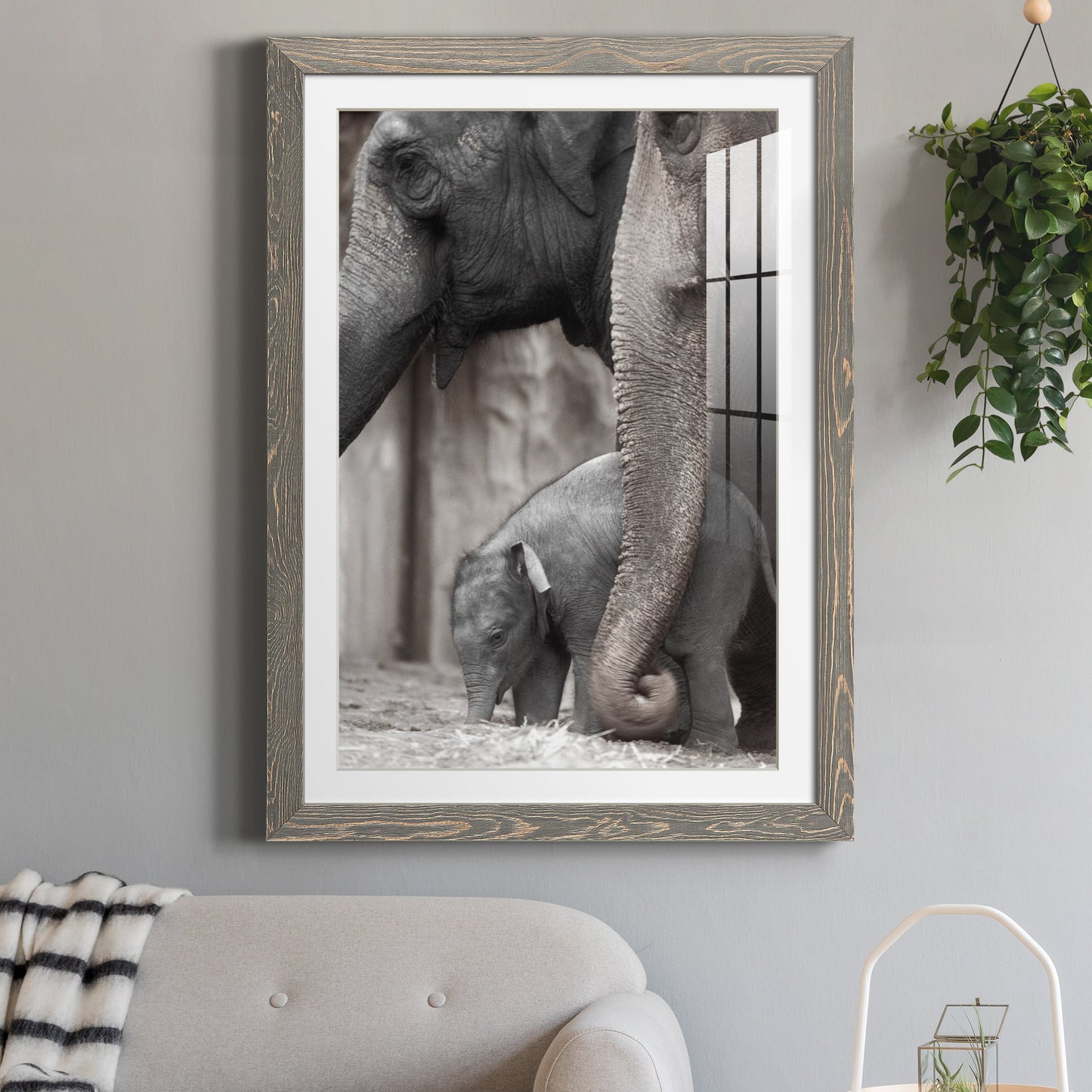 Family Moment - Premium Framed Print - Distressed Barnwood Frame - Ready to Hang