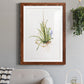 Gardenaire II - Premium Framed Print - Distressed Barnwood Frame - Ready to Hang