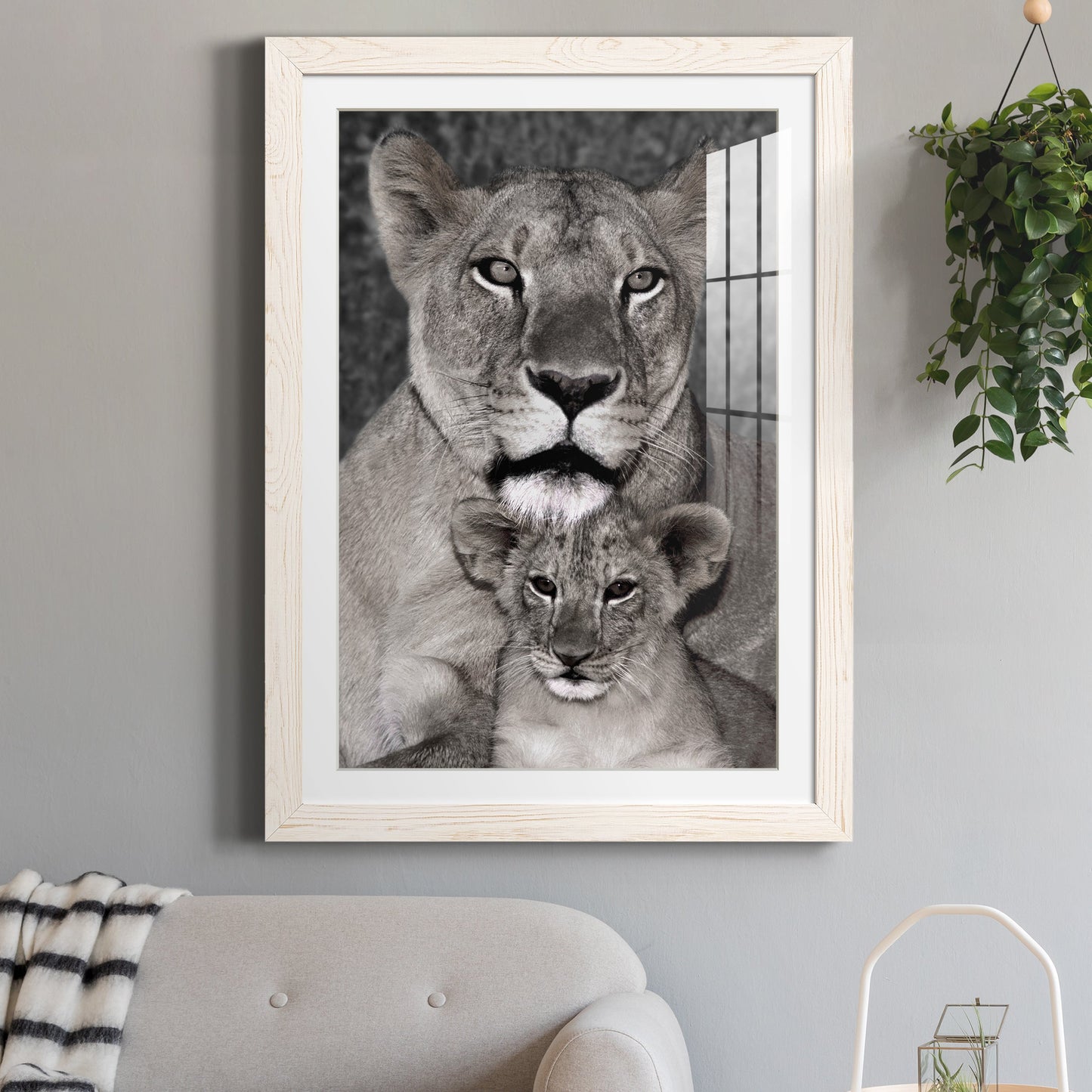 Lioness and Cub - Premium Framed Print - Distressed Barnwood Frame - Ready to Hang