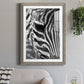 Zebra Colt - Premium Framed Print - Distressed Barnwood Frame - Ready to Hang