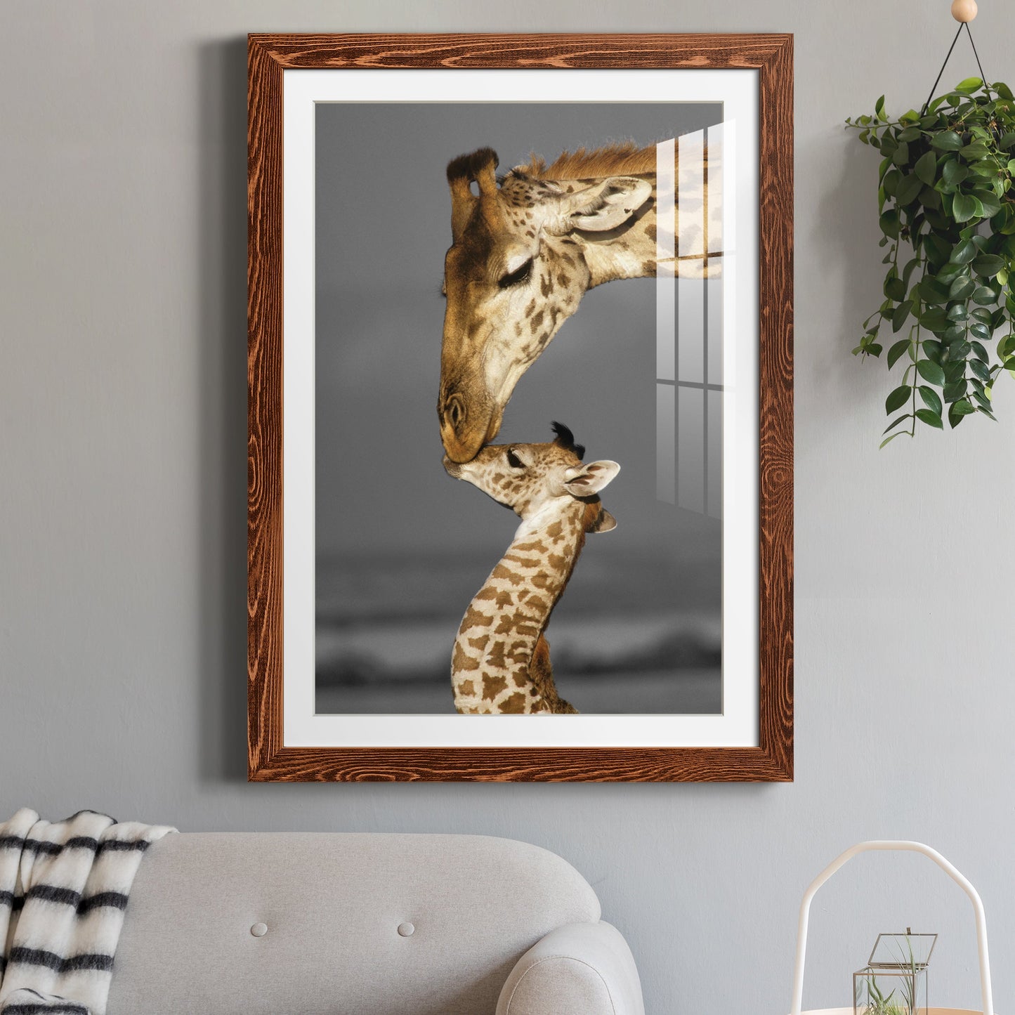 Masai Mara Giraffe Family - Premium Framed Print - Distressed Barnwood Frame - Ready to Hang