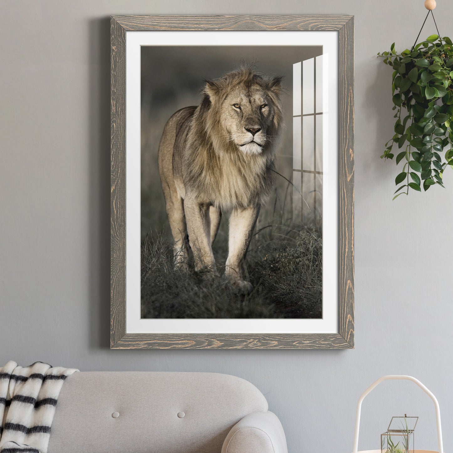 Morning Walk in Masai Mara - Premium Framed Print - Distressed Barnwood Frame - Ready to Hang