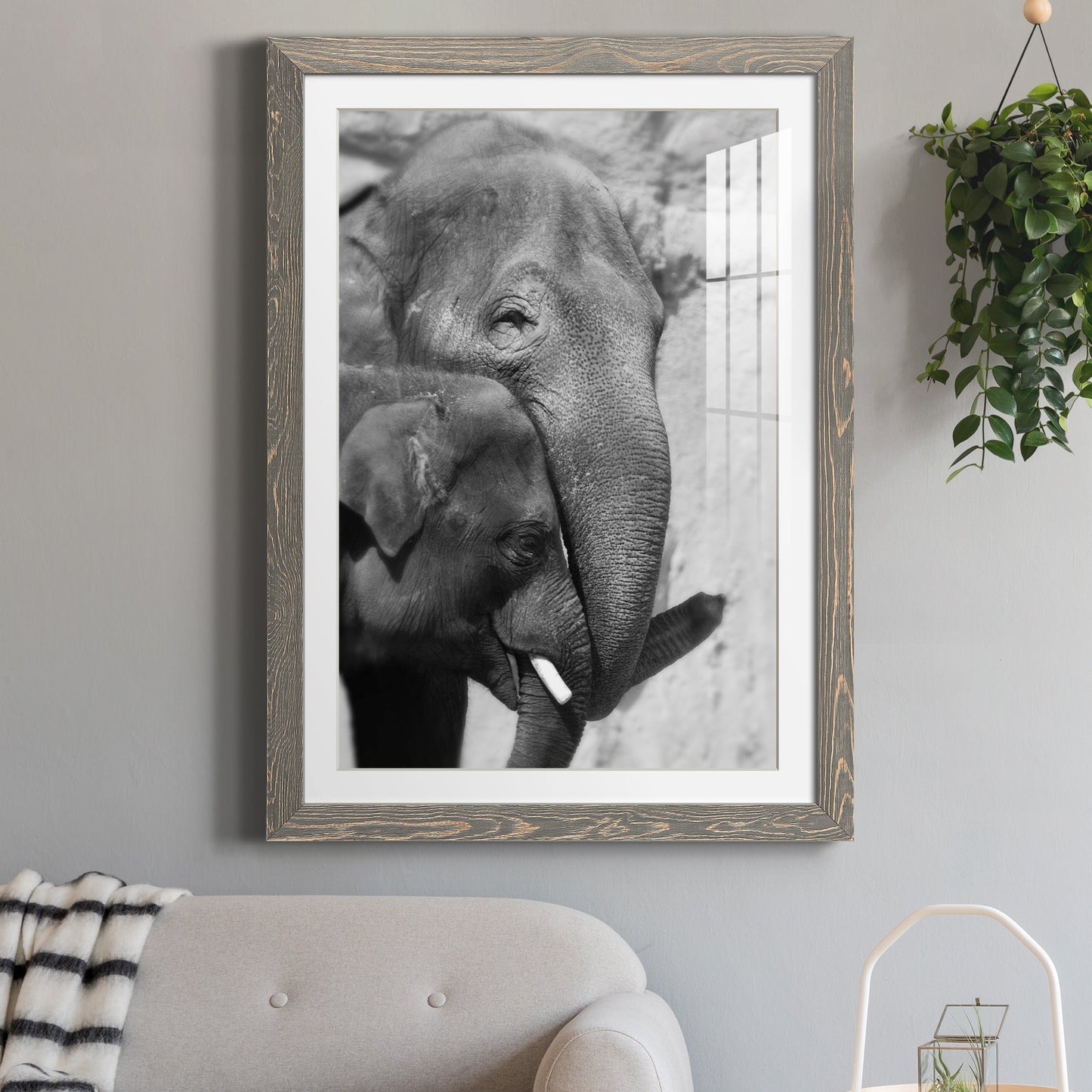 Tender Moment - Premium Framed Print - Distressed Barnwood Frame - Ready to Hang