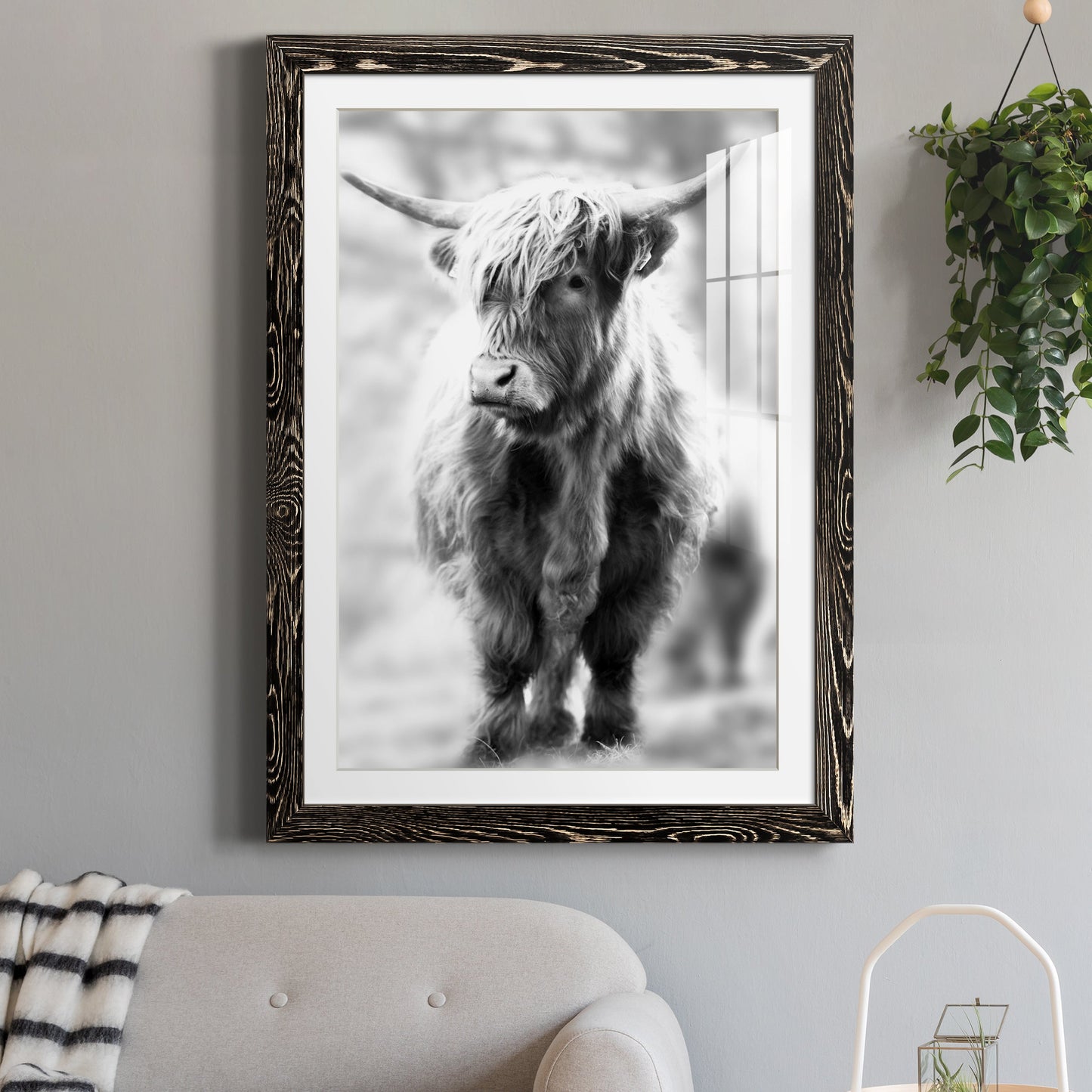 Yorkshire Highland - Premium Framed Print - Distressed Barnwood Frame - Ready to Hang