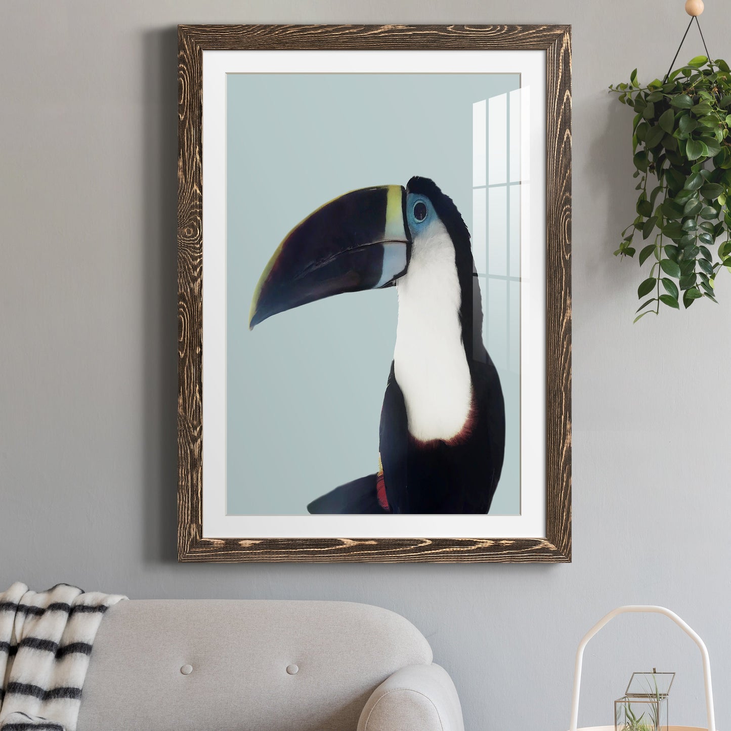 Aruba Wildlife - Premium Framed Print - Distressed Barnwood Frame - Ready to Hang