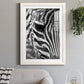 Zebra Colt - Premium Framed Print - Distressed Barnwood Frame - Ready to Hang