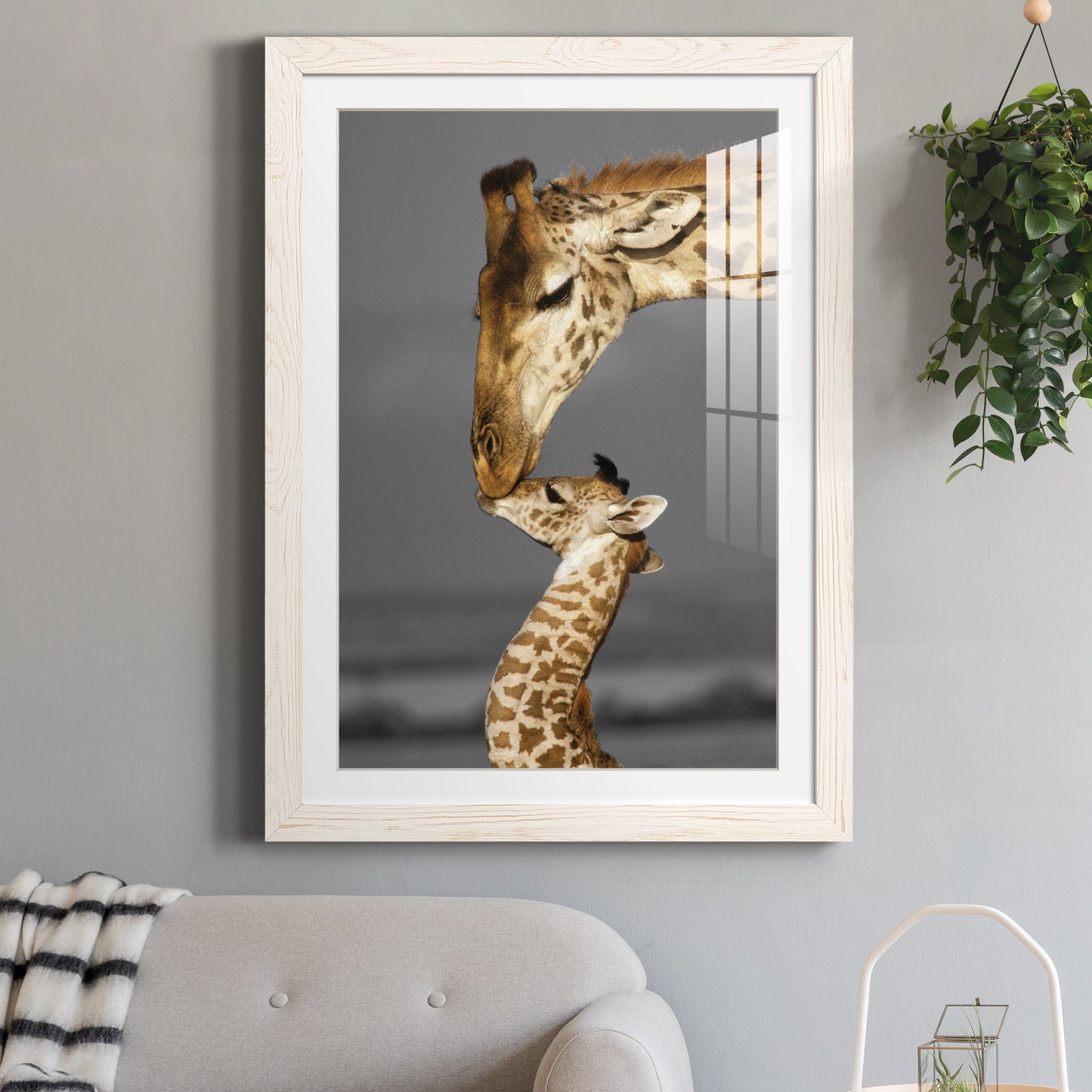 Masai Mara Giraffe Family - Premium Framed Print - Distressed Barnwood Frame - Ready to Hang