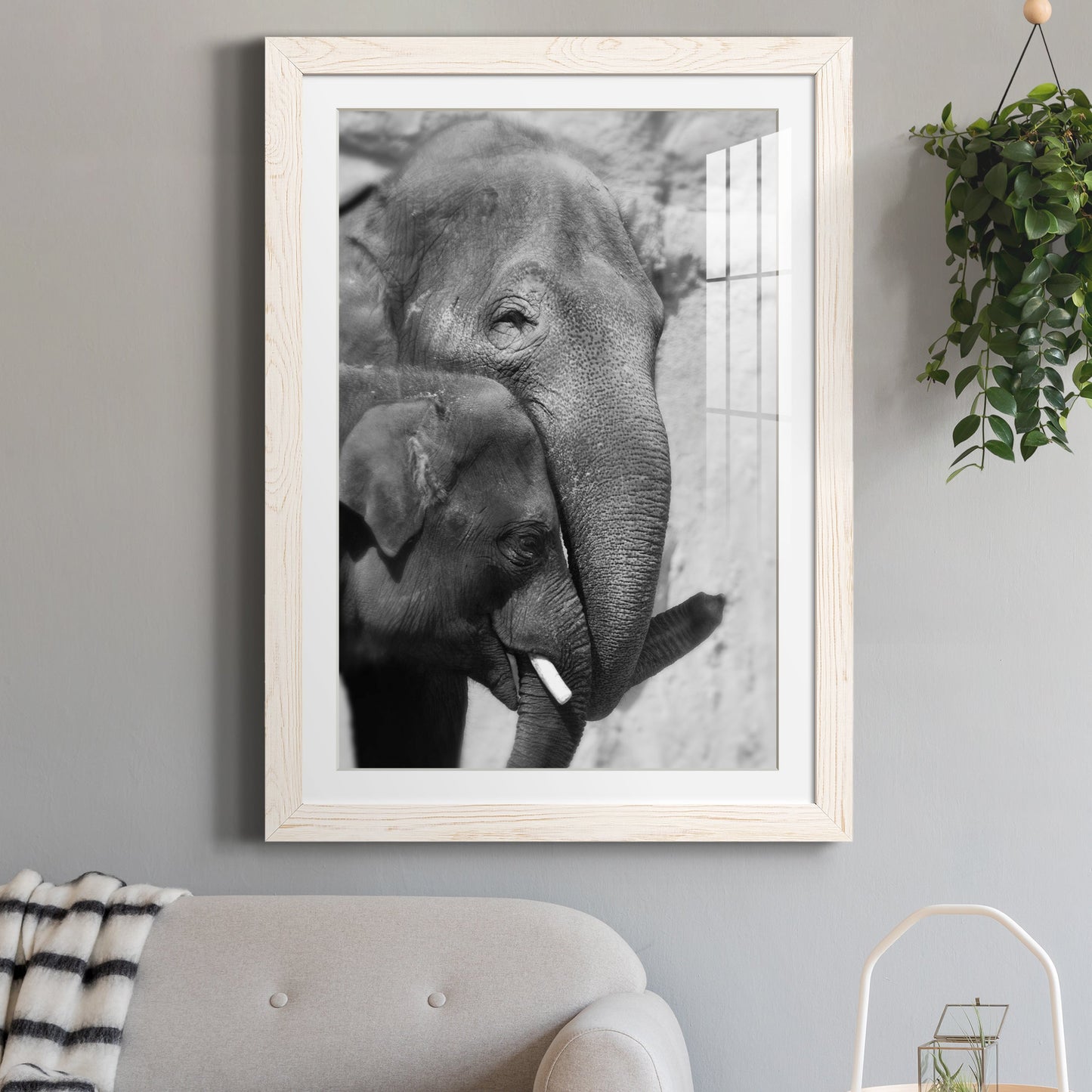 Tender Moment - Premium Framed Print - Distressed Barnwood Frame - Ready to Hang