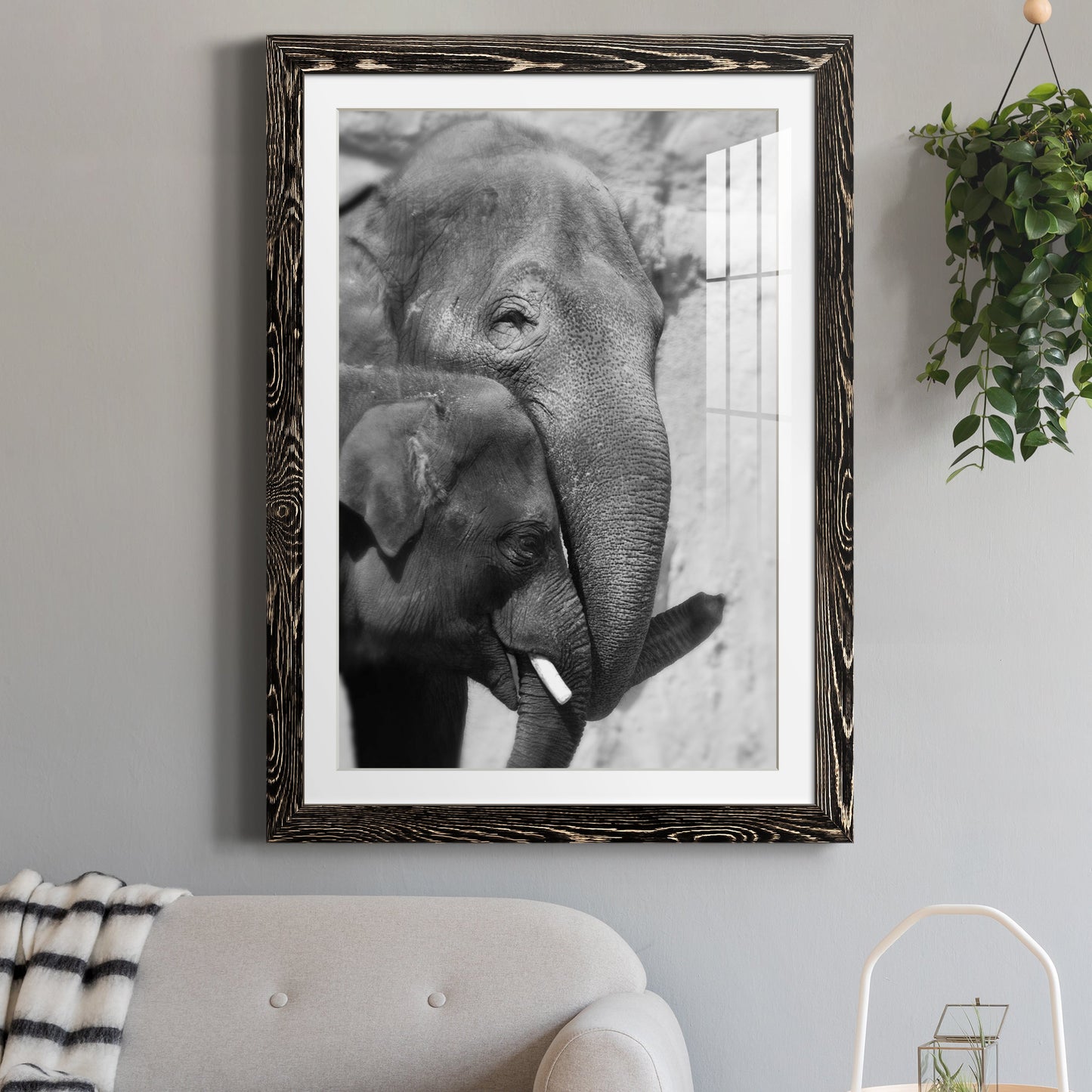 Tender Moment - Premium Framed Print - Distressed Barnwood Frame - Ready to Hang