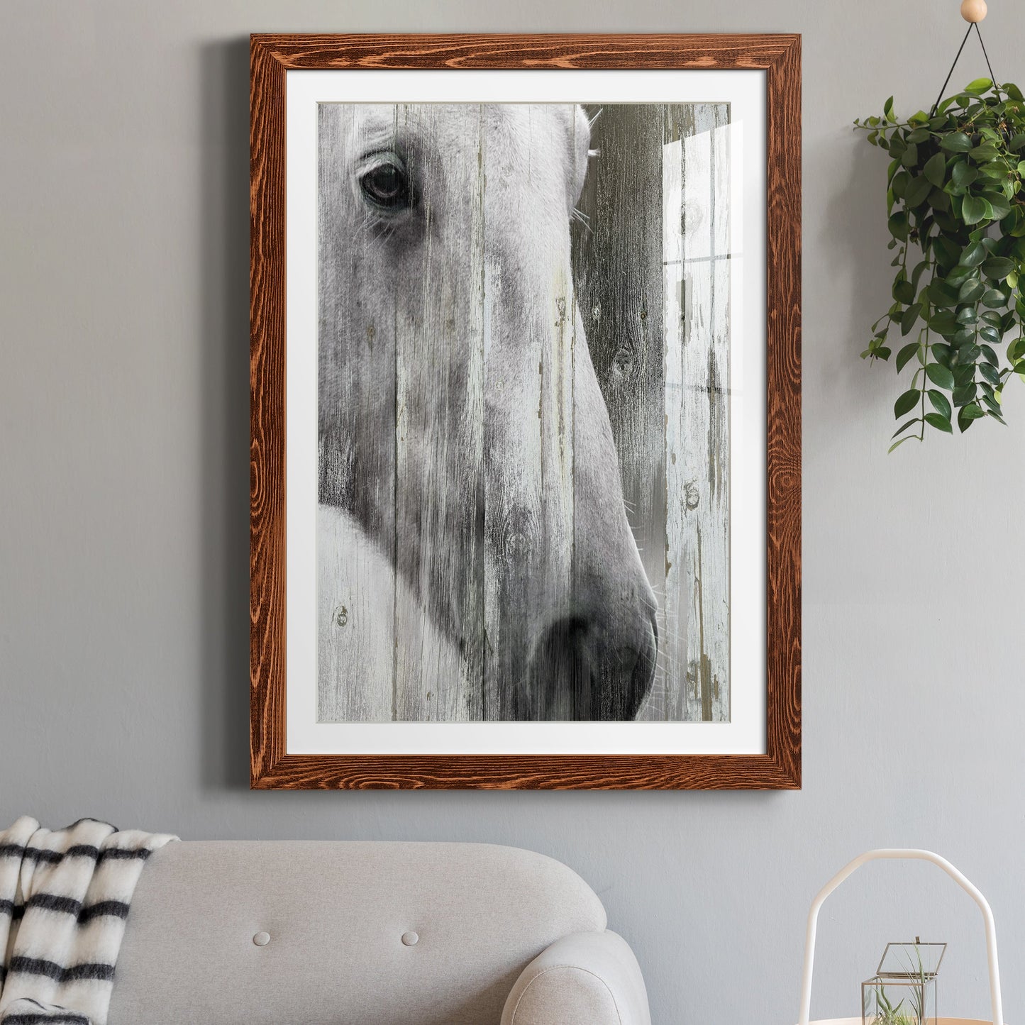 Contemplation - Premium Framed Print - Distressed Barnwood Frame - Ready to Hang