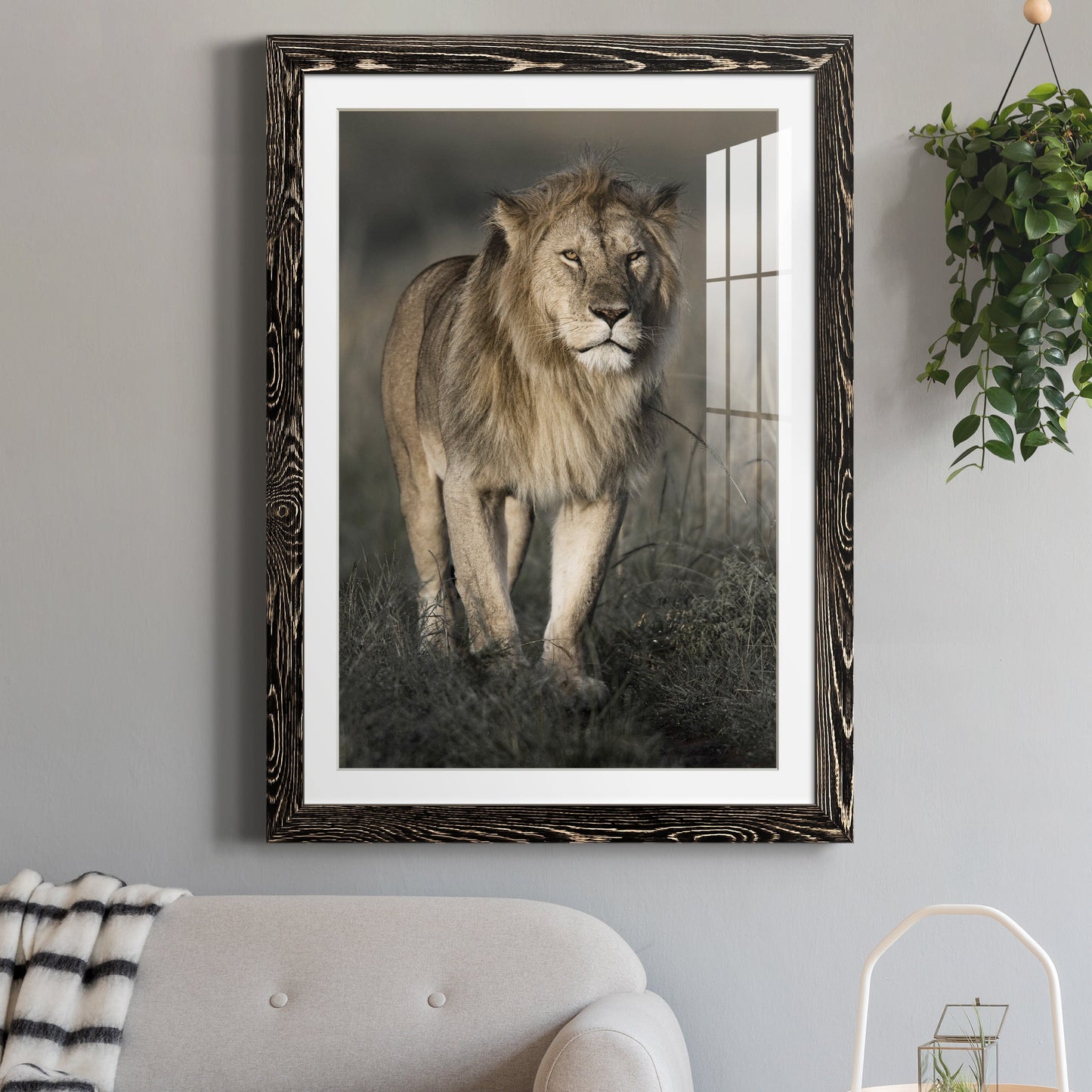 Morning Walk in Masai Mara - Premium Framed Print - Distressed Barnwood Frame - Ready to Hang