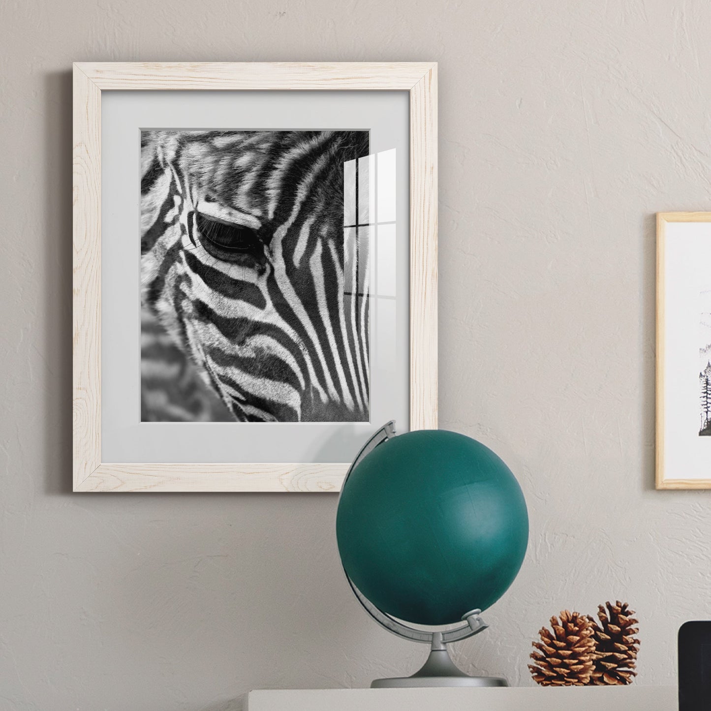 Zebra Colt - Premium Framed Print - Distressed Barnwood Frame - Ready to Hang