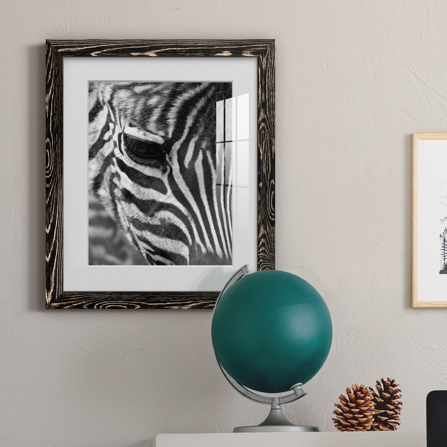 Zebra Colt - Premium Framed Print - Distressed Barnwood Frame - Ready to Hang