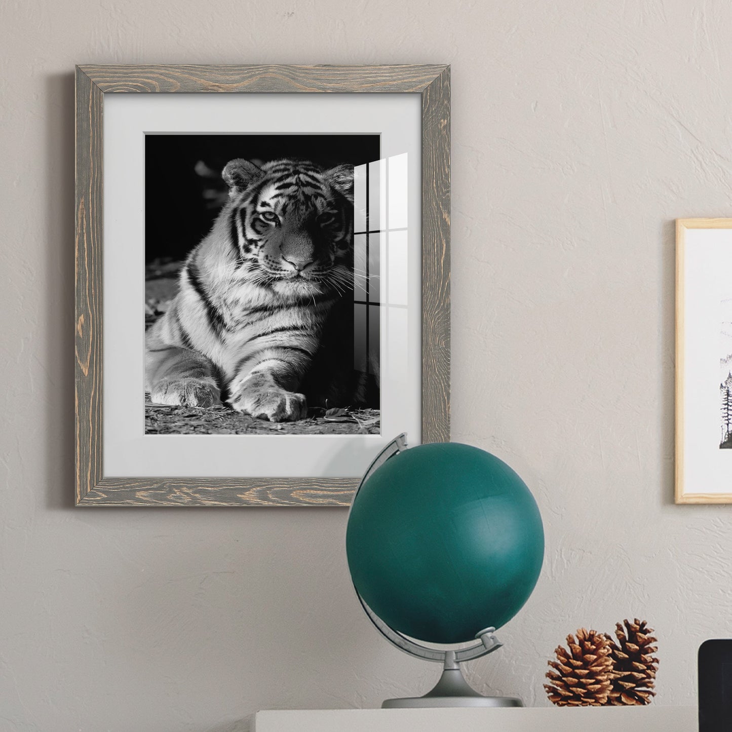 Tiger Repose - Premium Framed Print - Distressed Barnwood Frame - Ready to Hang