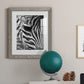 Zebra Colt - Premium Framed Print - Distressed Barnwood Frame - Ready to Hang