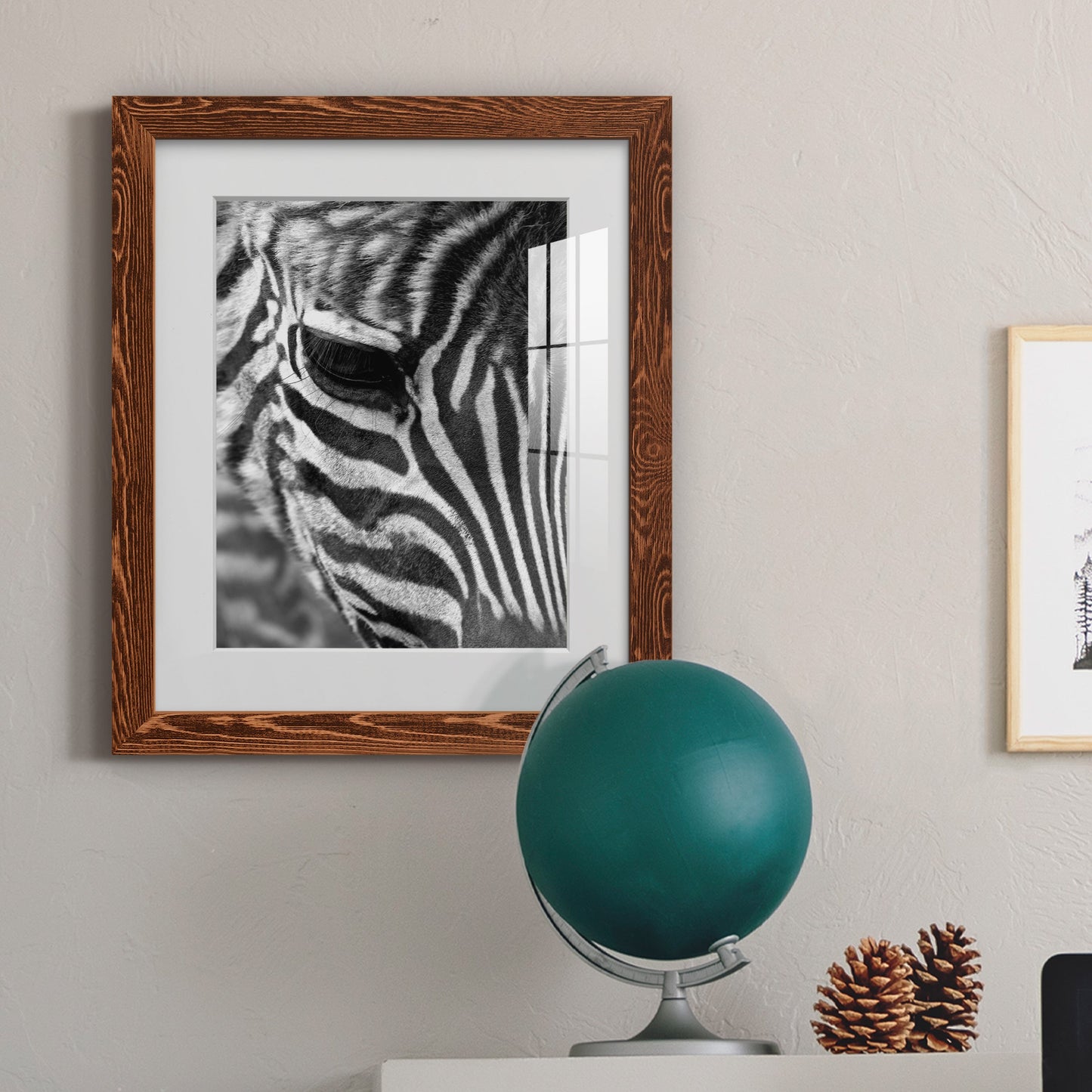 Zebra Colt - Premium Framed Print - Distressed Barnwood Frame - Ready to Hang