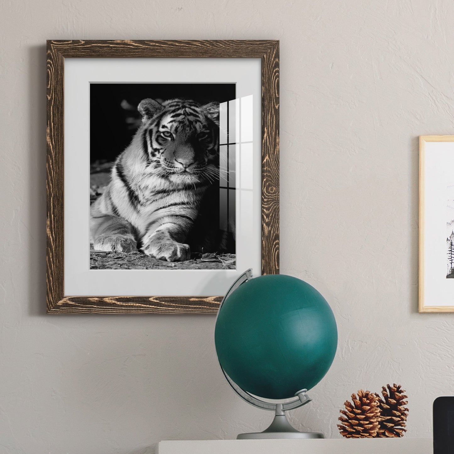 Tiger Repose - Premium Framed Print - Distressed Barnwood Frame - Ready to Hang